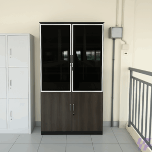 2 Door Modern Glass Cabinet