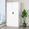 2 Door Metallic Cabinet