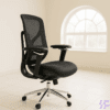 Ergonomic Office Chair