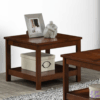 0.6 M Modern Coffee Table
