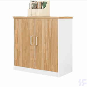 File Office Cupboard