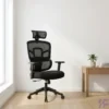 Orthopedic Ergonomic Office Chair