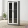 Full-Glass Lockable File Cabinet