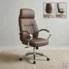 Brown Executive Office Chair