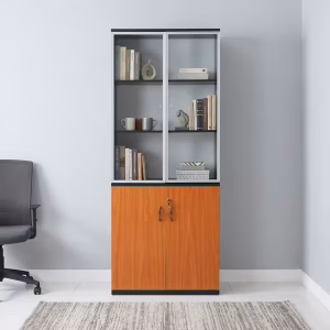 Industrial gray 2-Door Office Storage Cabinet with closed doors and secure key lock for corporate supply room organization