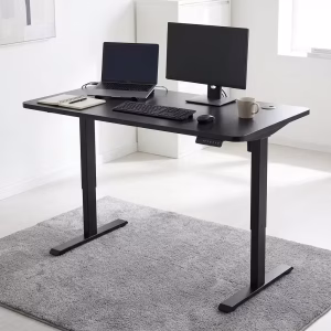 A modern dual-motor Smart Height Adjustable Desk holding two monitors elevated to standing height in a bright corporate office.