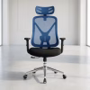 Ergonomic High-Back Mesh Office Chair